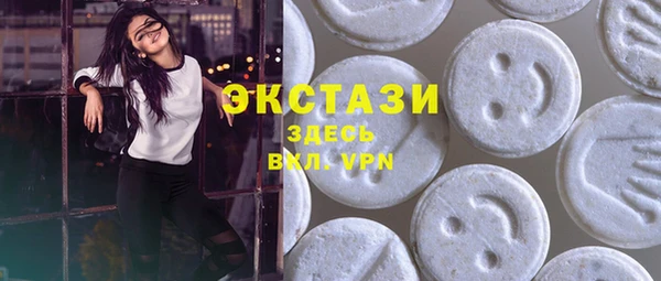ECSTASY Богородск