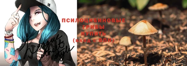ECSTASY Богородск