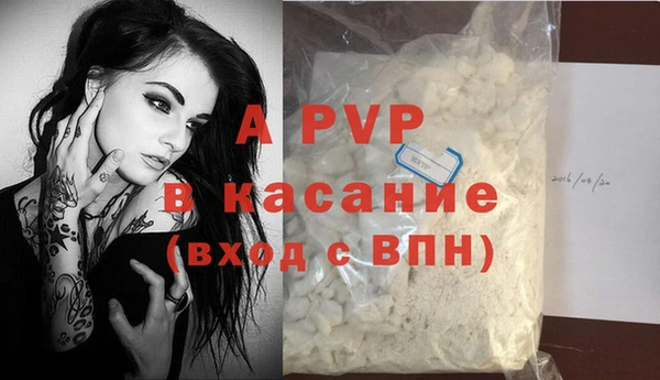 ECSTASY Богородск
