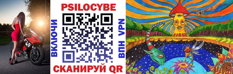 Галлюциногенные грибы Psilocybine cubensis  Городец 